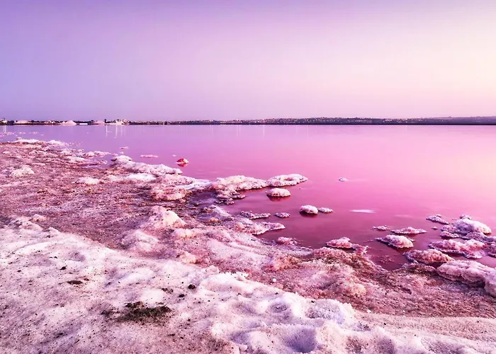 Veleta Paradise Daire *